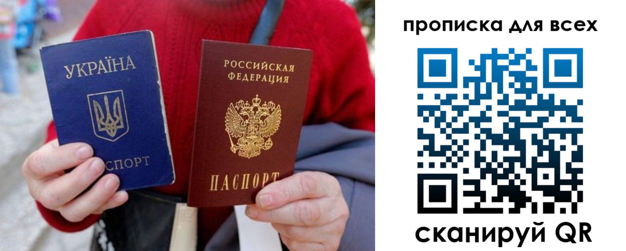 прописка поиск в Ельне