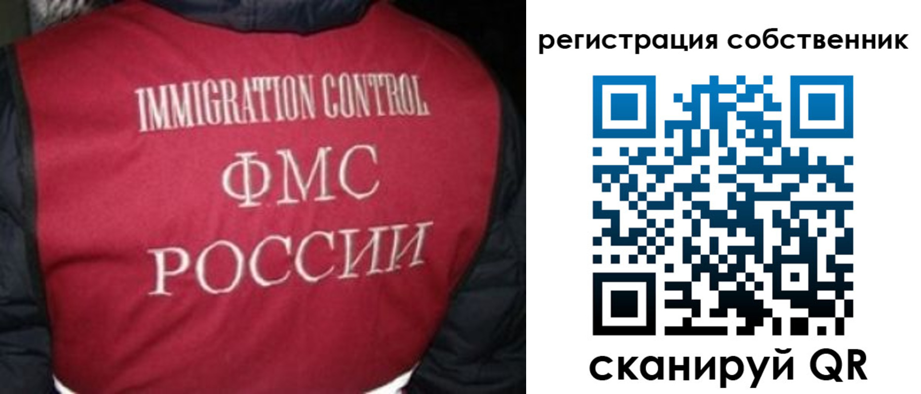 прописка гарантия в Ельне
