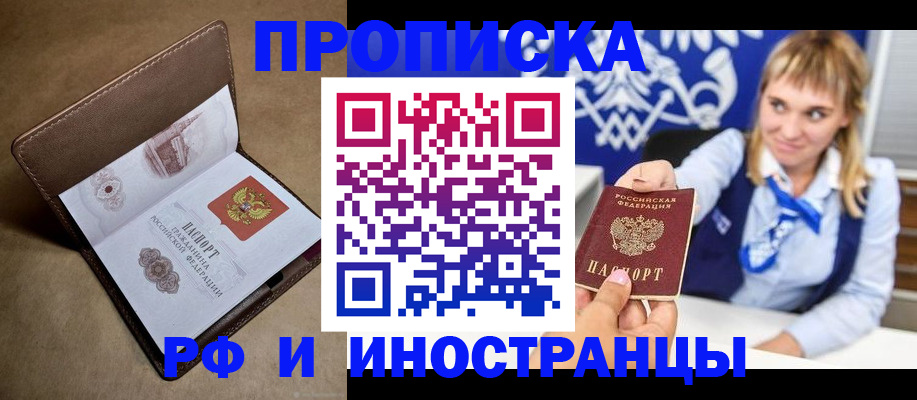 прописка в Ельне